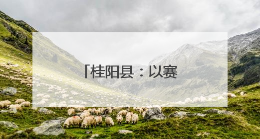 桂阳县：以赛促学展风采 理论宣讲润心田